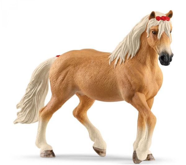 SHL13950 - Haflinger merrie - 1