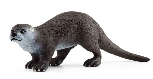 SHL14865 - Otter - 1