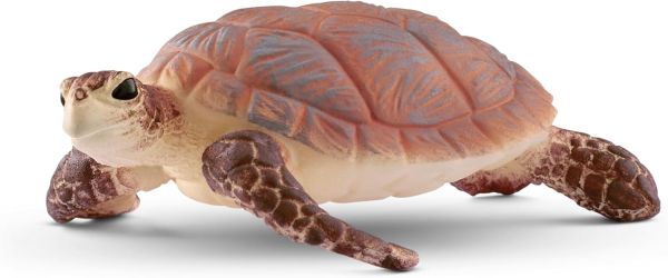 SHL14876 - Zeeschildpad - 1