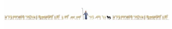 NOC16162 - XL dozen set - 37 schapen en herder - 1