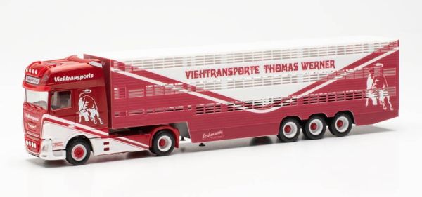 HER315449 - DAF XF SSC 4x2 met 3-assige veewagen THOMAS WERNER - 1