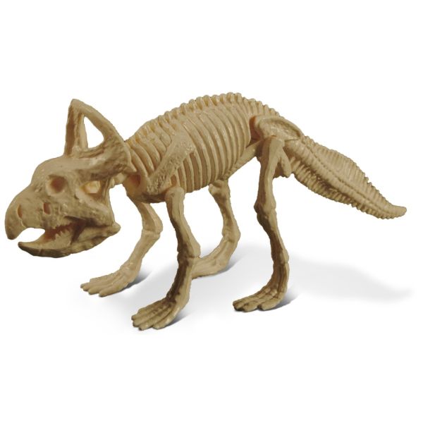 GEOCL3201C - Jurassix-museum - Protoceratops - 1