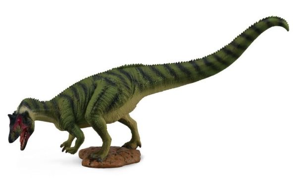 COL88678 - saurophanosaurus - 1