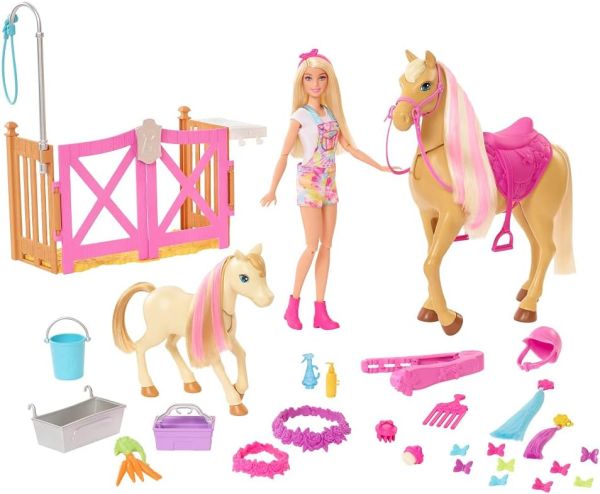 MATHGB58 - Paard verzorgingsset met Barbie - 1