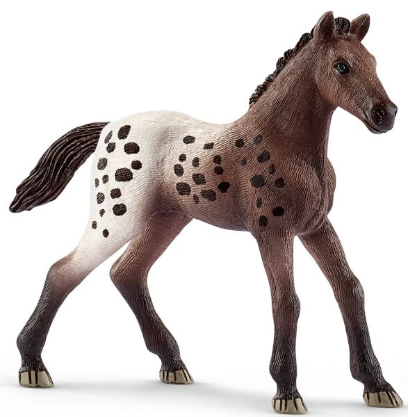 SHL13862 - Appaloosa veulen - 1