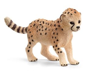 SHL14866 - Baby Cheetah