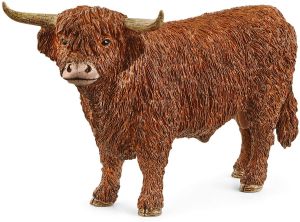 SHL13919 - Highland stier