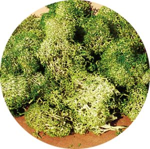 HEK3217 - Lichen grijs-groen 30g