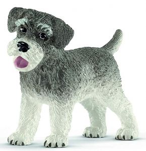 SHL13892 - Dwergschnauzer