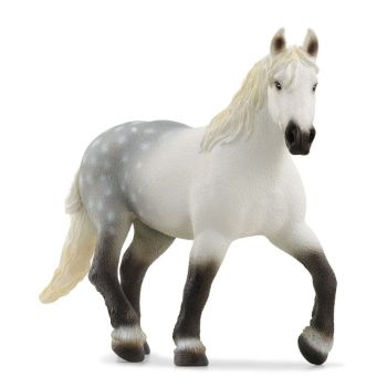 SHL13971 - Percheron merrie