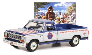 GREEN38040-D - 1989 DODGE Ram D-150 uit de SMOKEY BEAR serie onder blister