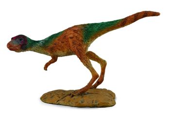 COLL88697 - t rex