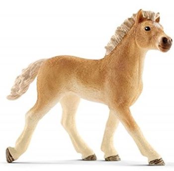 SHL13814 - Haflinger veulen